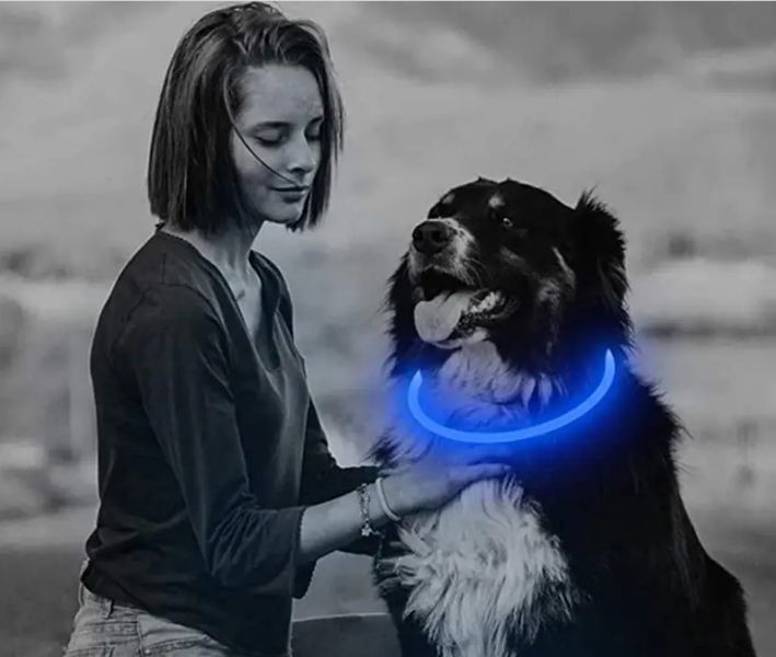 Светящийся ошейник для собак с USB Светодиодный влагостойкий ошейник 12120 фото