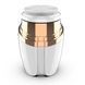 Щітка для обличчя Soniс Facial Cleansing Brush LT-606 з насадками 12557 фото 1