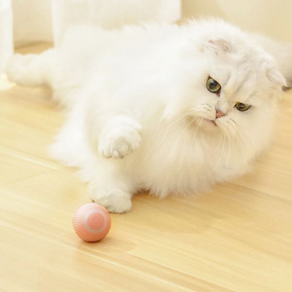 Інтерактивна іграшка, М'ячик для котів і собак Pet Gravity Розумний саморухомий світловий Рожевий 12938 фото