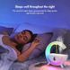 Зволожувач повітря антигравітаційний крапельний ефект, нічник з RGB підсвіткою WHITE 13272 фото 2