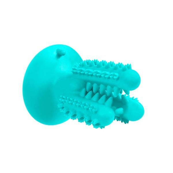 Игрушка для собак Bronzedog PetFun Dental КАКТУС на присоске 12432 фото